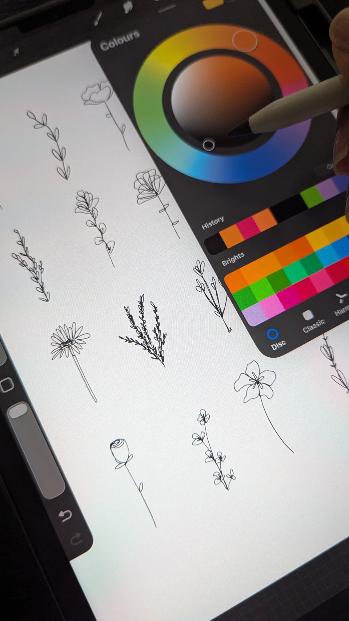Hand-drawn single-line flowers in black ink on an iPad screen in Procreate, with a stylus in hand and the colour wheel open.