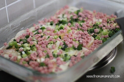 Sprinkle bacon and spring onion over potatoes and cream